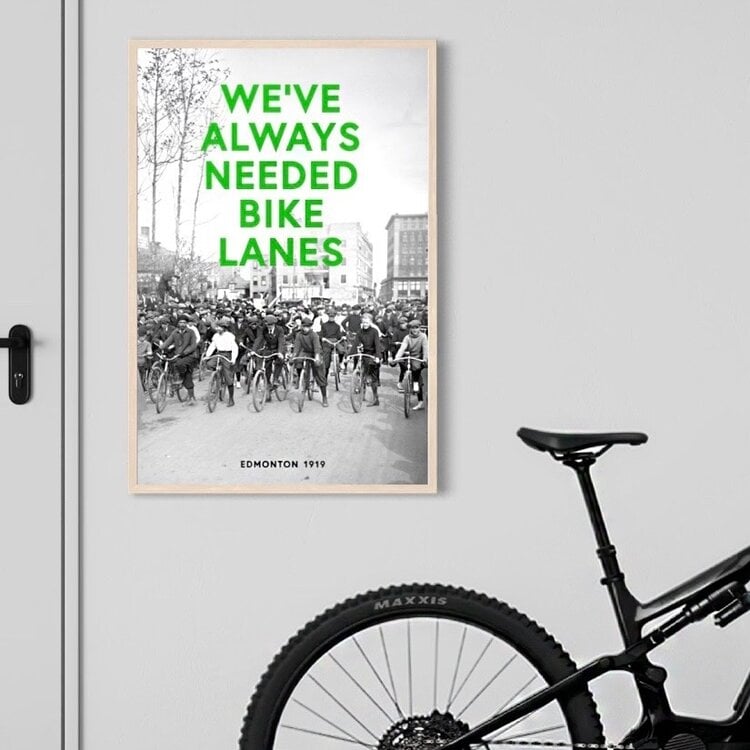 Vivid Print We've Always Needed Bike Lanes