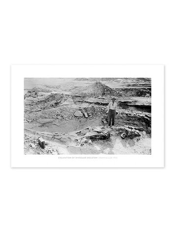 Vivid Archives Excavation of Dinosaur Skeleton, Drumheller 1912