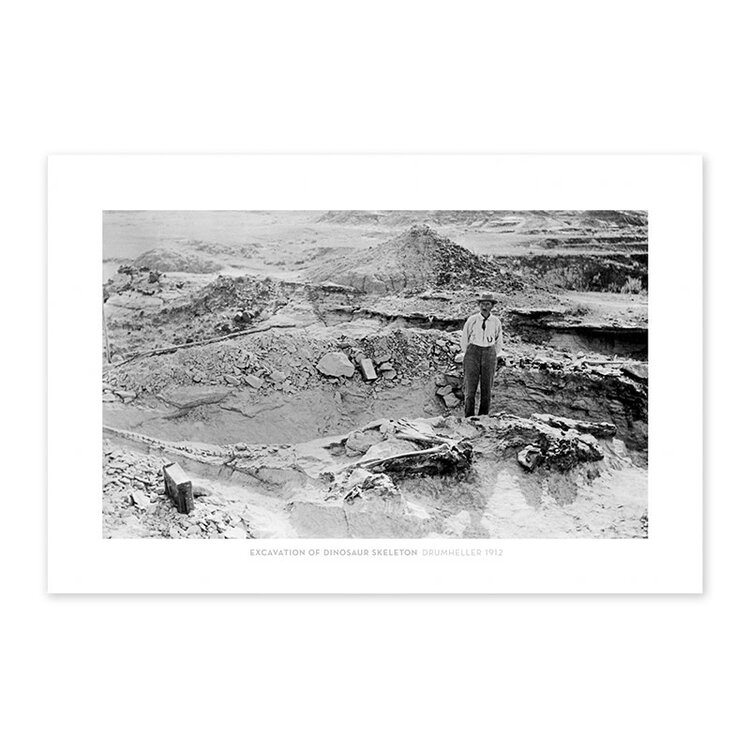 Vivid Archives Excavation of Dinosaur Skeleton, Drumheller 1912