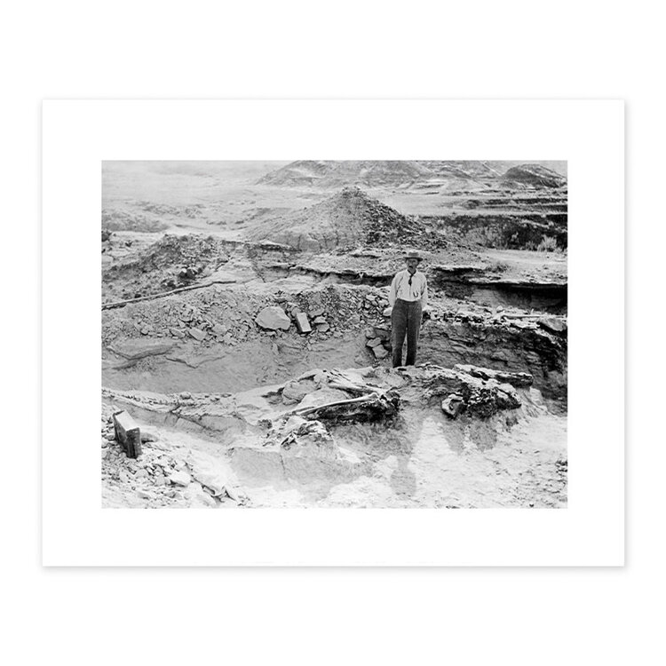 Vivid Archives Excavation of Dinosaur Skeleton, Drumheller 1912