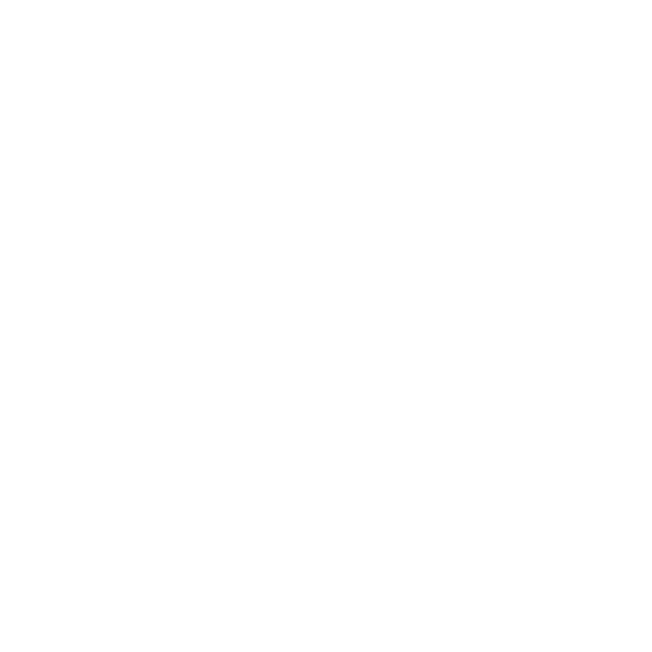 Vivid Print