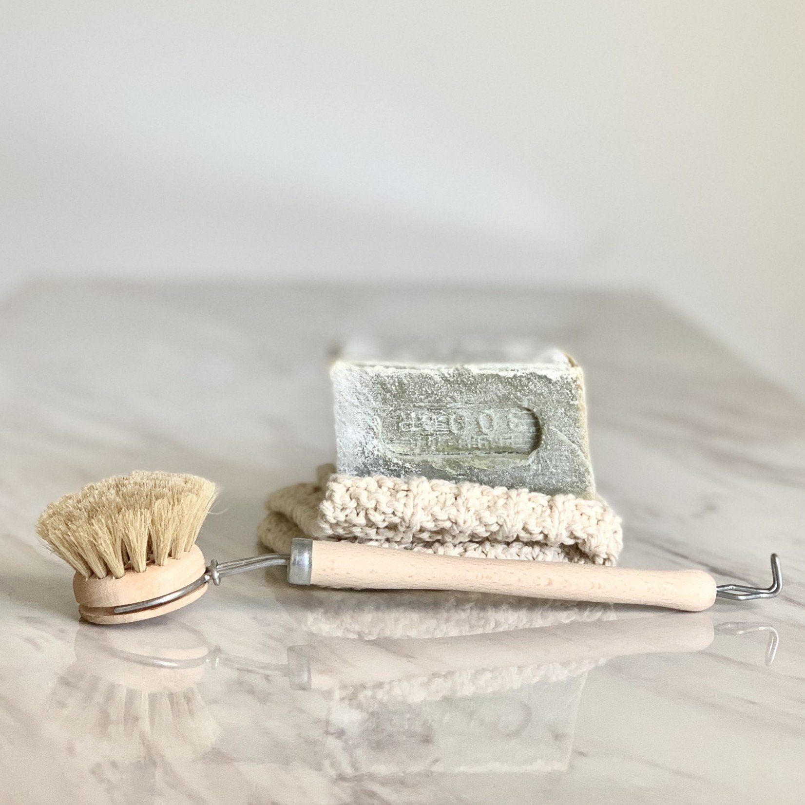 Natural Bristle Dish Brush - French Mercantile