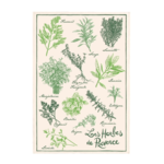 Tea Towel - Herbes of Provence - Made in France (Torchons & Bouchons)