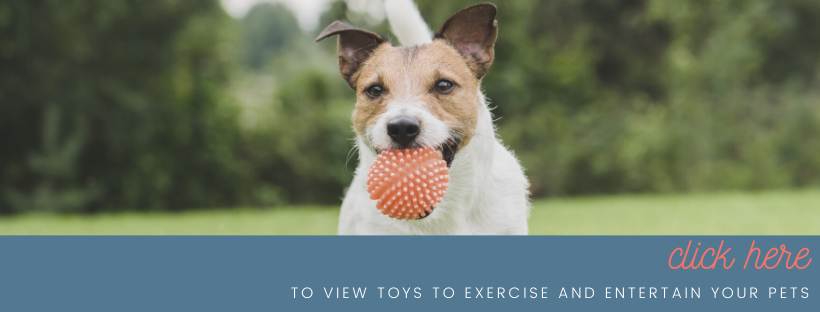 grindstone pet supplies