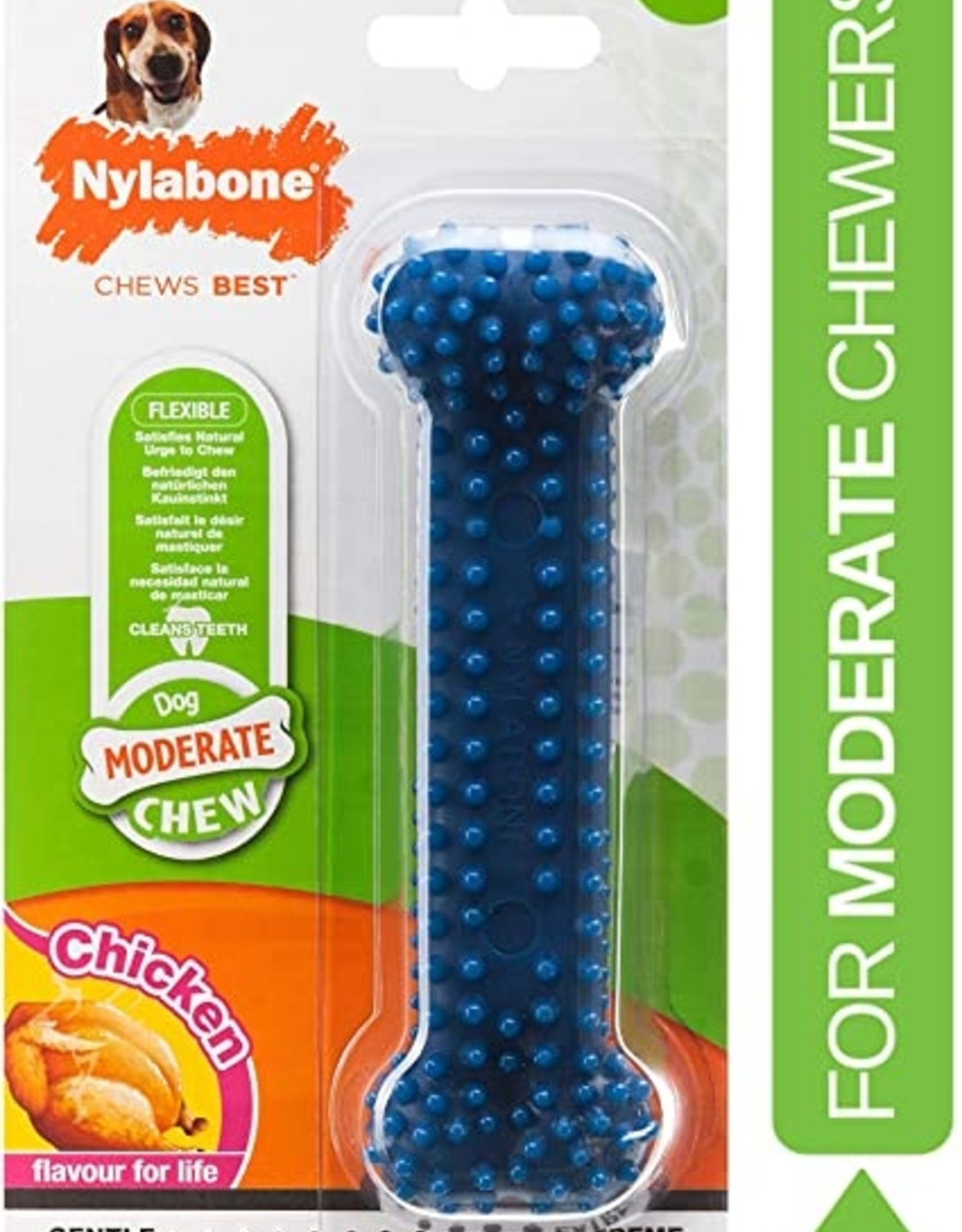 nylabone large