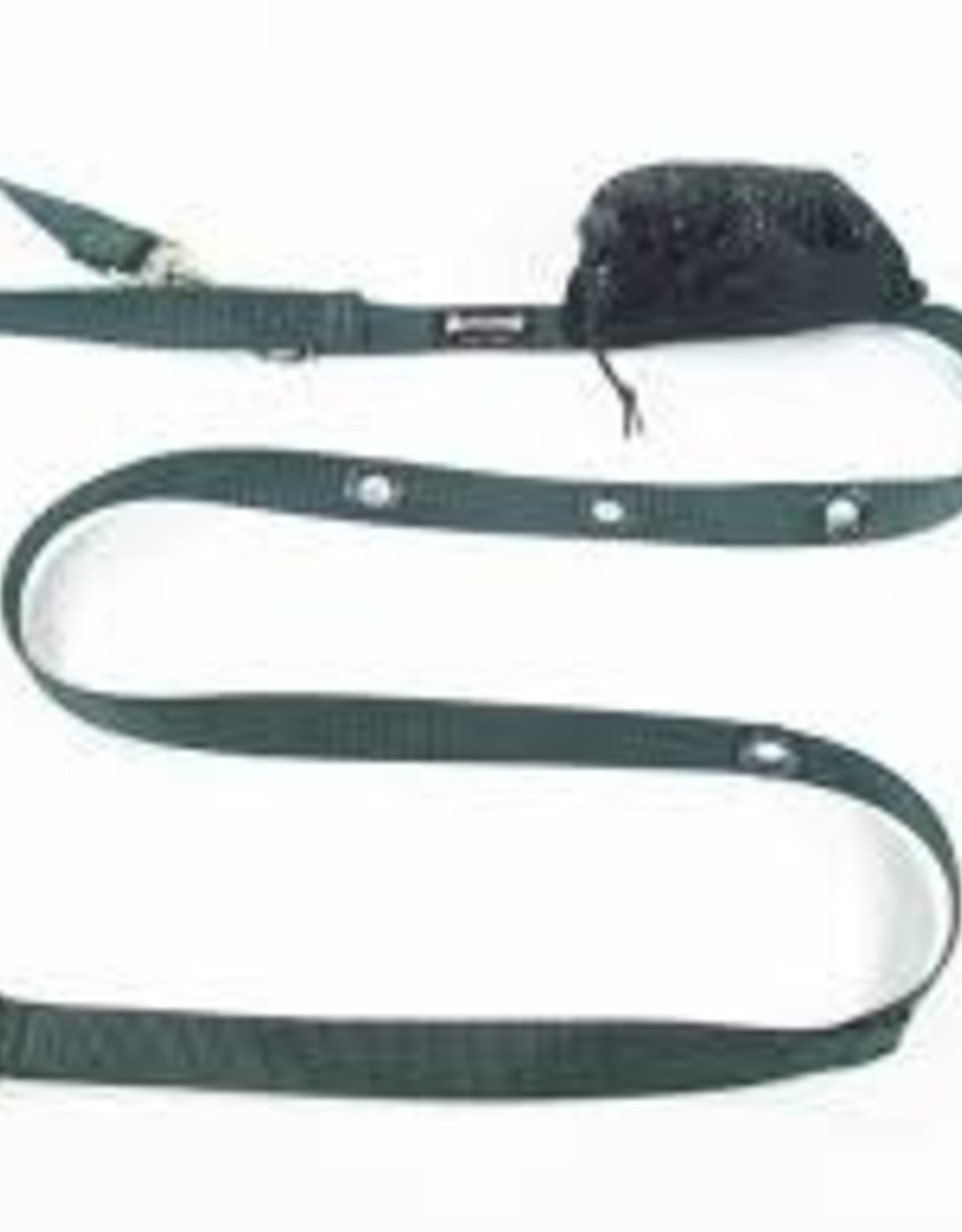 smoochy poochy leash