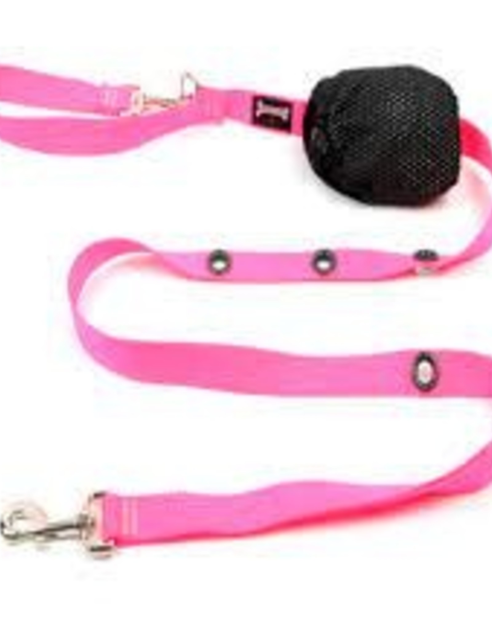 smoochy poochy leash