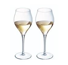 Q9945 Exaltation Wine Glass-Set/2