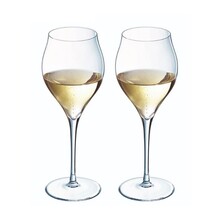 Exaltation Wine Glass - Set/2