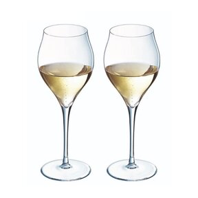 Exaltation Wine Glass - Set/2