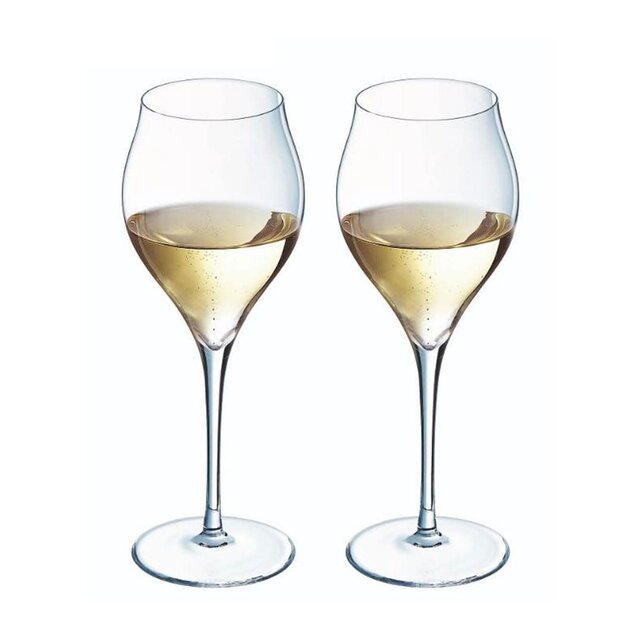 Exaltation Wine Glass - Set/2