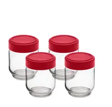 747361 Leak-Proof Glass Jars-Set/4