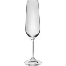 4900834 Splendido Champagne Flute S/4