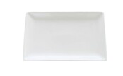 V113 - Vitrex 10" Platter