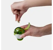 102662011C-Garlic Zoom