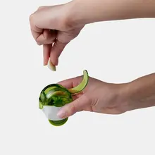 102662011C-Garlic Zoom