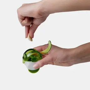 102662011C-Garlic Zoom