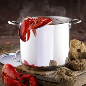 2201-24-09  Meyer Accolade 9L Stockpot