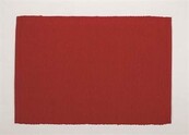 Poly Cotton Placemat - Red