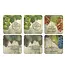 8898026 Pimpernel Coasters Set/6- Tuscan Vineyard