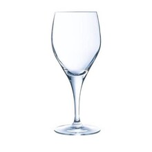 Sensation Exalt Stemmed Glass(41) Set/6