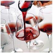 Open Up Pro Tasting(32) Set/6 Open Up Pro Tasting(32) Set/6