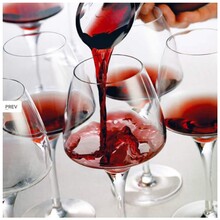 Open Up Pro Tasting(32) Set/6