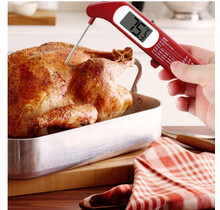 9300635 Digital Folding Thermometer