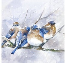 Luncheon Napkin- Cuddly Birdies