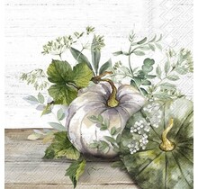 C1012260-Cocktail Napkin -Green & White Pumpkin-Cream