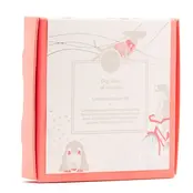 Dog Days of Summer Coaster - Premium Set of 8 Coral Box