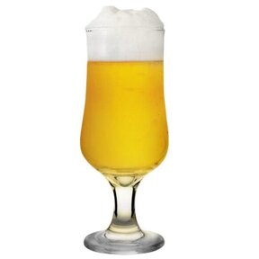 NEV576 Nevakar Beer Glass