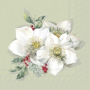 C1026826 Cocktail Napkin-Christmas Rose (Sage)