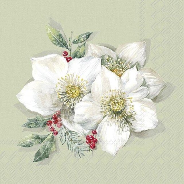 C1026826 Cocktail Napkin-Christmas Rose (Sage)