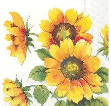 L863100 Luncheon Napkin- Colourful Sunflowers