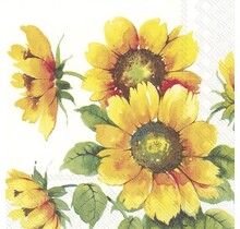 C863100 Cocktail Napkin-Colourful Sunflower