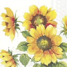 C863100 Cocktail Napkin-Colourful Sunflower
