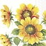 C863100 Cocktail Napkin-Colourful Sunflower