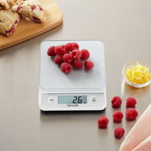 5280385 Taylor Digital Scale 11lb