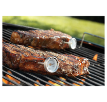 F804 Mini Steak Thermometers Set/4