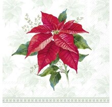 C1088420 Cocktail Napkin- Classic Poinsettia