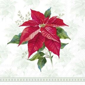 C1088420 Cocktail Napkin- Classic Poinsettia