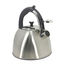 K4244784 Stainless Steel Stove Top Kettle 2.9L