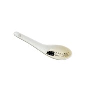 1522 Wonton Soup Spoon