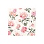 IHR C1099660 Cocktail Napkin-Beth -Cream