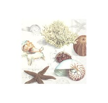 L863560 Lunch Napkin-Clams at Beach