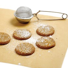 NP3568 Sugar and Flour Duster