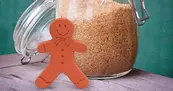 SB63914 Brown Sugar Saver-Gingerbread Boy