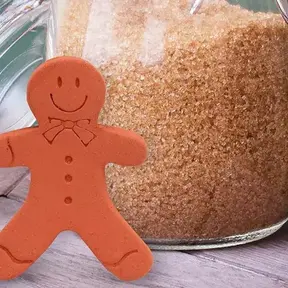SB63914 Brown Sugar Saver-Gingerbread Boy