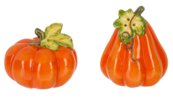 ER75372 Pumpkin Salt & Pepper Shakers